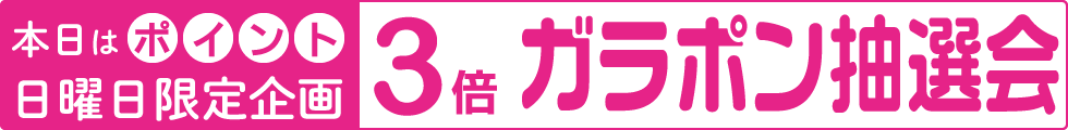 ポイント3倍ガラポン抽選会